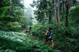 BIB: 
                            <button type="button" onclick="openModal(26359175)" class="btn btn-primary btn-sm float-right btn-popup" data-toggle="modal" data-target=".modal-high-quality">
                        <i class="fas fa-shopping-cart"></i> Add to Cart
                    </button>
                                            <button type="button" onclick="isThisMe(26359175, true)" class="btn btn-success btn-sm float-right btn-popup btn-isme hidden" data-toggle="tooltip" data-placement="bottom" title="นี่คือรูปของคุณใช่ไหม คลิกที่นี่เพื่อเอาเข้าอัลบั้ม">
                        <i class="fas fa-plus"></i> Add to album
                    </button>
                    <button type="button" onclick="isThisMe(26359175, false)" class="btn btn-warning btn-sm float-right btn-popup btn-isnotme hidden">
                        <i class="fas fa-ban"></i> Remove from album
                    </button>